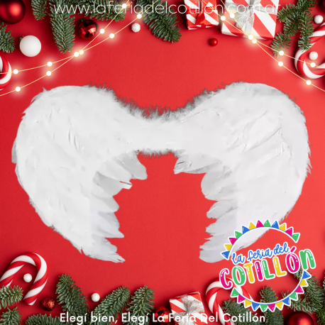 Alas Angel Plumas Blancas