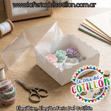 Caja Base con Tapa Transparente 20x20x 5cm  x 1u