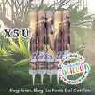 Bengala Jurasic World x 5 u.