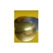 Disco Laminado Oro/Plato Nº 24 X 1u.