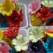 Petunias de Azúcar x 10u