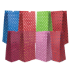 Bolsa Papel Lunares x 10u