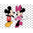 Lámina Comestible Mickey y Minnie
