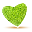 Grana color Verde Claro x1kg